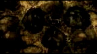 Apocryph - Mind Shaped Reality