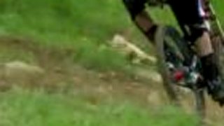 Steve Peat - Seasons