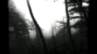 Temnohor - Tma, strom, tma