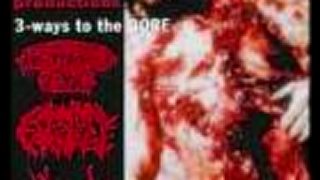 Disgorged Foetus - Rancid Meat Sodomizer
