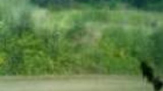Suzuki 125 rm začátek