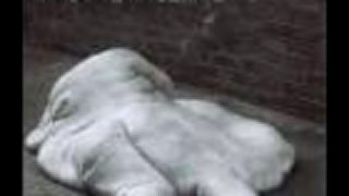 STOMA - MY KID SISTER