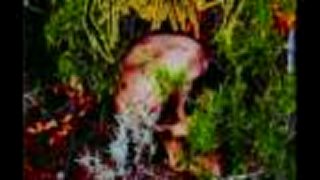 Mixomatosis - Diez anos de vida