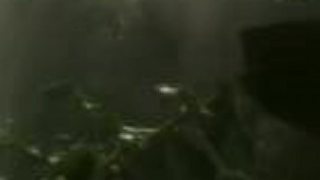 Evolúcia 1/2