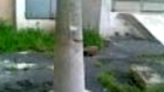Parkour Okružná