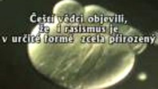 Predsudky,xonofóbia - zlo alebo prirodzenosť?