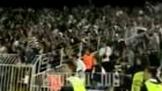 Grobari 1970 - ultras