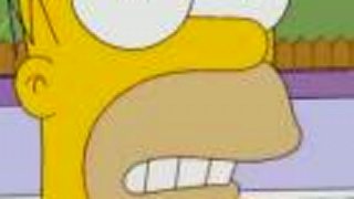 Simpsonovci - Homerov mozog, PC verzia