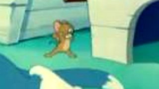 Tom a Jerry - Milované šteňa