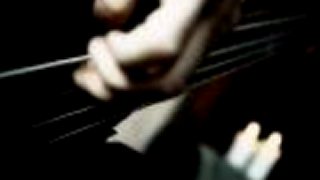 FLESHGOD APOCALYPSE - The Violation