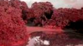 Ramsey Lewis - After The Rain