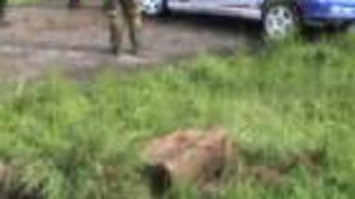 Rally Hořovice 2009 Crash 2/2