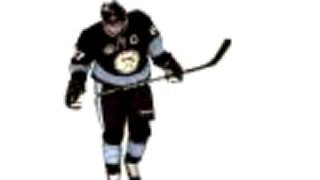 Sidney Crosby vs Dave Steckel