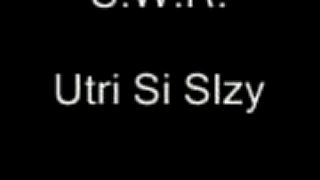 S.W.R. - Utri si slzy