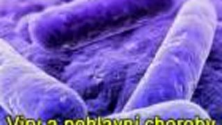 Sex - bez "obalu"