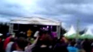 BeeFree 2011 - 3
