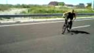 Shar Pit skúša Stret 2011