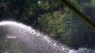 Lodenica 2011