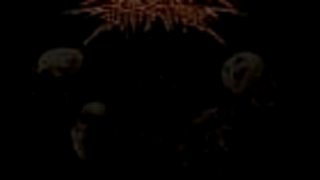 Chronic Infection - Grinding Flesh