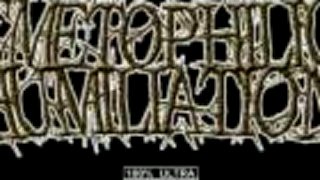 Emetophilic Humiliation - Dr. Cocktopus