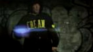 Limp Bizkit - Gold Cobra