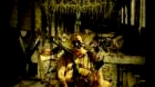 Fleshrot - Parasite