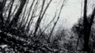 Heartless - Illusion
