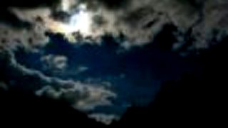 Shy Moon FL