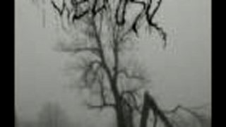 Wedard - Leidenschaft