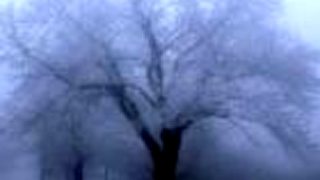 Adramalech - Satity Vortex