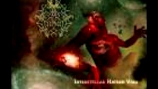 Perversus Stigmata - Perversus Stigmata
