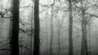 Dark Fount - Dark Fount