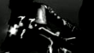 The Gazette - Leech