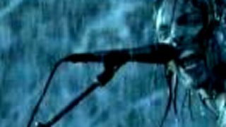 Tears Don't Fall Video by Bullet For My Valentine
