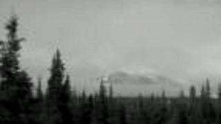 Woods of Ypres - Allure of the Earth