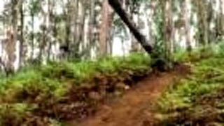 Downhill zjast