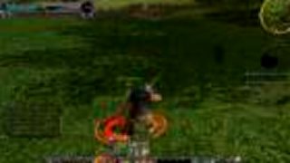 Lotro lvl15 hunter