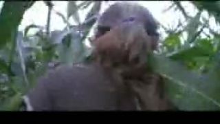 Leto 2008 trailer 2