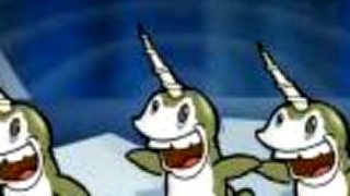 Narwhals