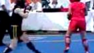 Sanda sanshou