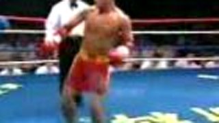 Sanda vs muay thay