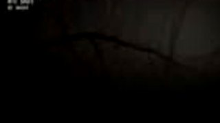 ShakeDown - At Night