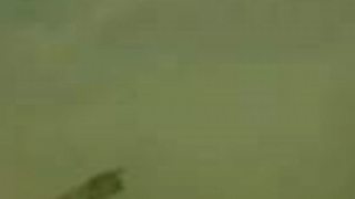 Ruské delostrelectvo 3