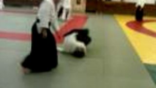 Aikido bratislava, www.aikidojo.sk