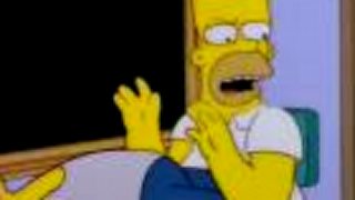Homer na kurze výchovy detí