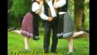 Pavelčákovci - Icom picom