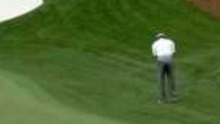 Tiger Woods Pga tour 11
