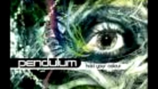 Pendulum - Hold Your Color