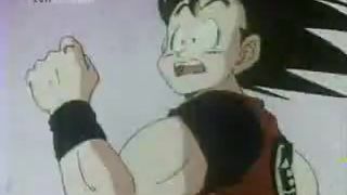 Dragonball 12