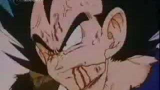 Dragonball 05